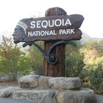 The Brown's Sequoia and Kings Canyon Trip